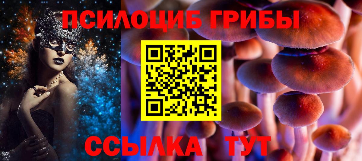 Псилоцибиновые грибы GOLDEN TEACHER  Галлюциногенные грибы мицелий  Вход с VPN  Азов 